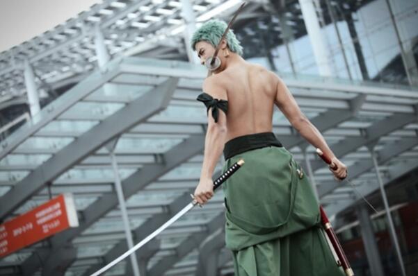 【hth官方网页入口】十二生肖办公室风水植物怎么选